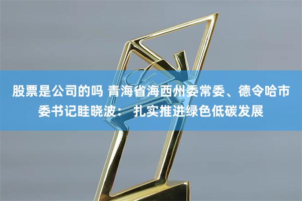 股票是公司的吗 青海省海西州委常委、德令哈市委书记眭晓波： 扎实推进绿色低碳发展