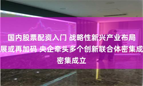 国内股票配资入门 战略性新兴产业布局发展或再加码 央企牵头多个创新联合体密集成立