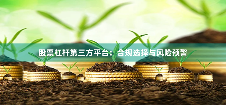股票杠杆第三方平台：合规选择与风险预警